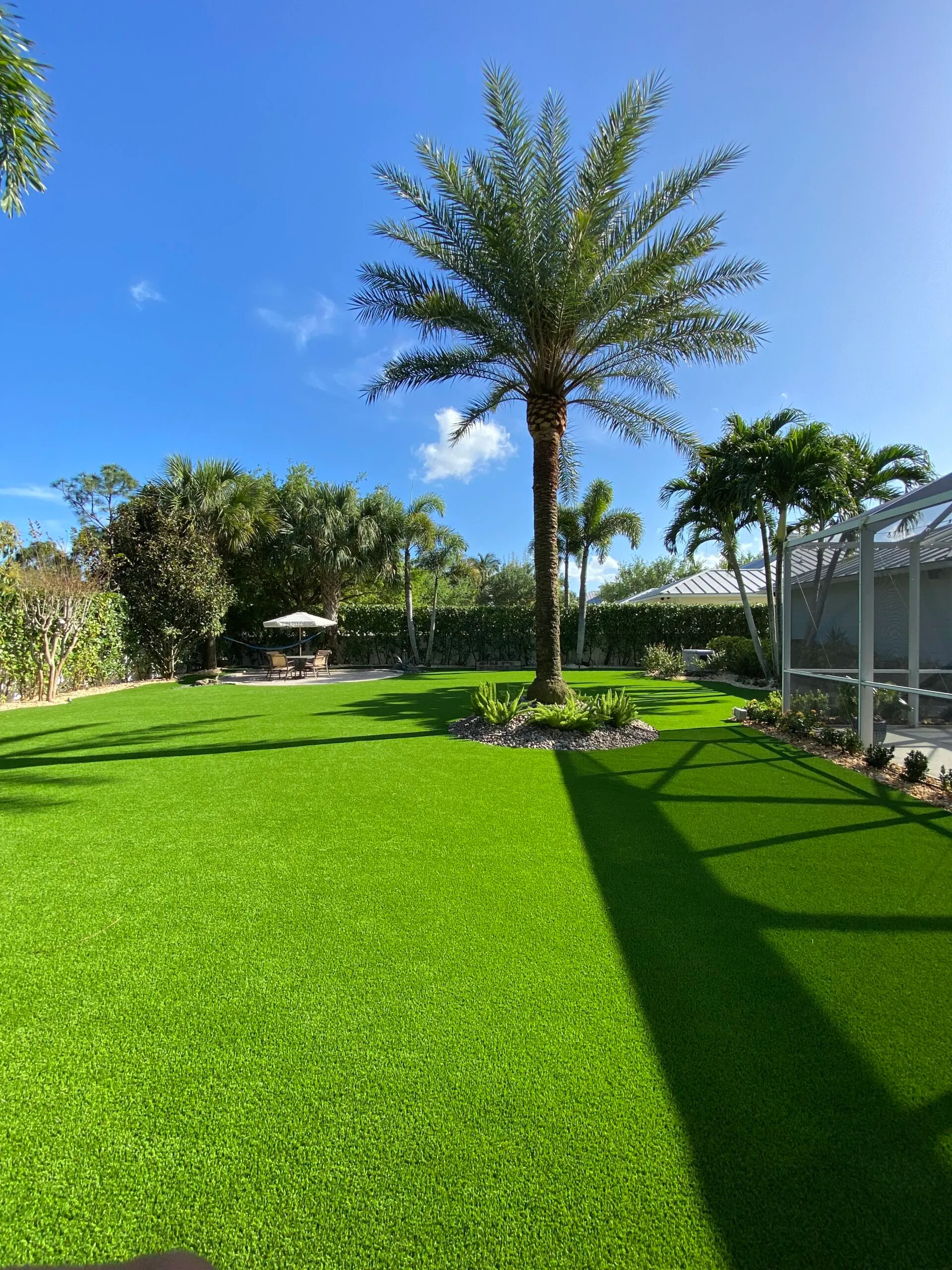 Lush artificial turf backyard with palm trees in Tampa Bay