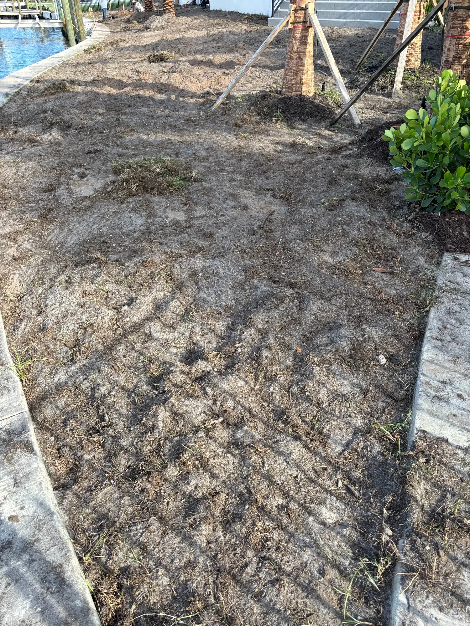 The mansion lawn before artificial turf installation